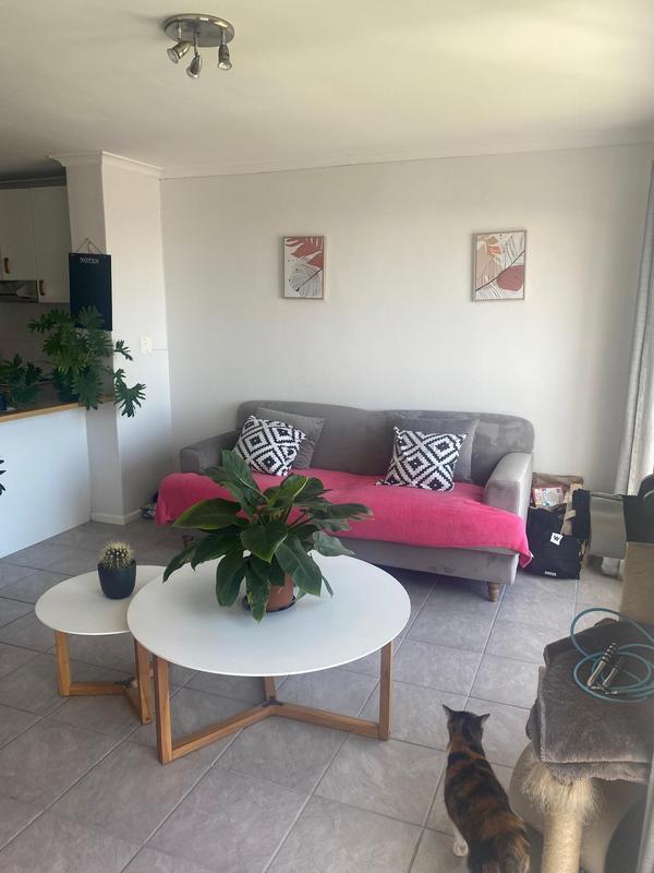 To Let 1 Bedroom Property for Rent in Vredehoek Western Cape